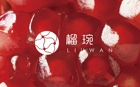 天兆石榴食品包装设计